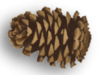 Captcha image 3140