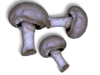 Captcha image 1757