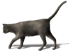 Captcha image 1934