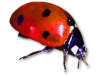 Captcha image 5296